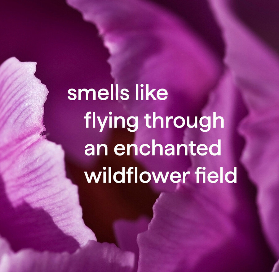 antibakterieller allzweckreiniger