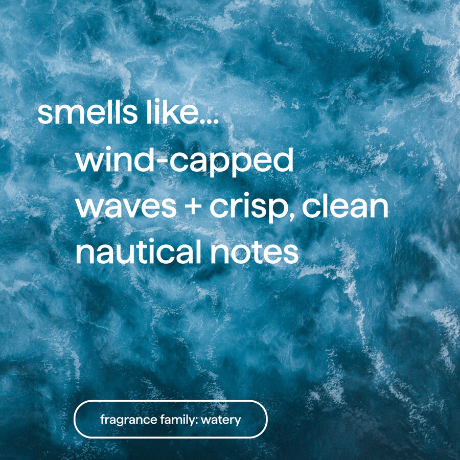 seifenstück - 2 stück