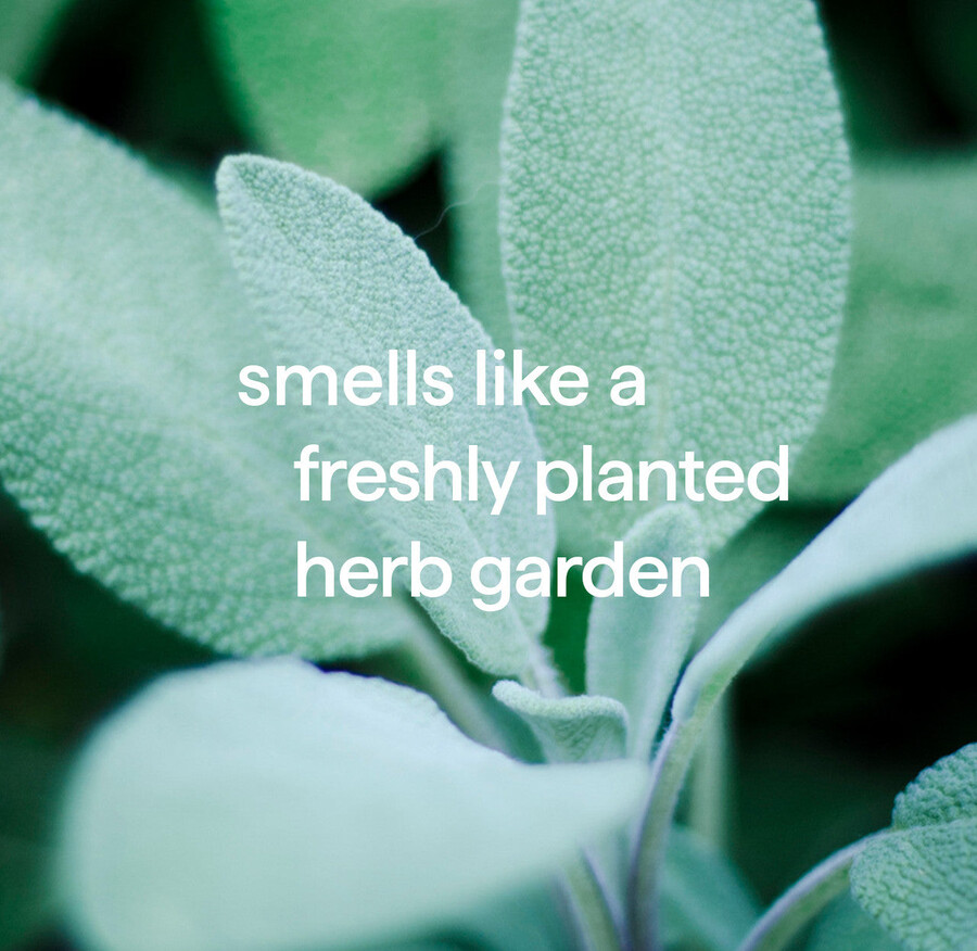 squirt mop hartbodenreiniger