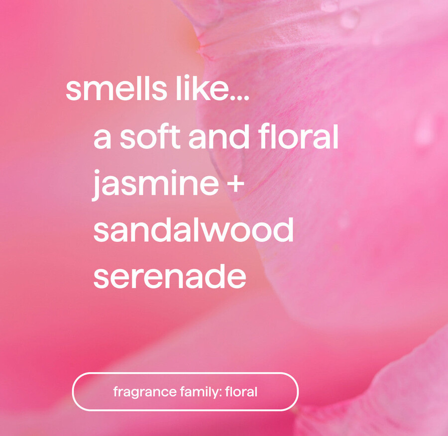 dream foam schaumduschgel-sortiment