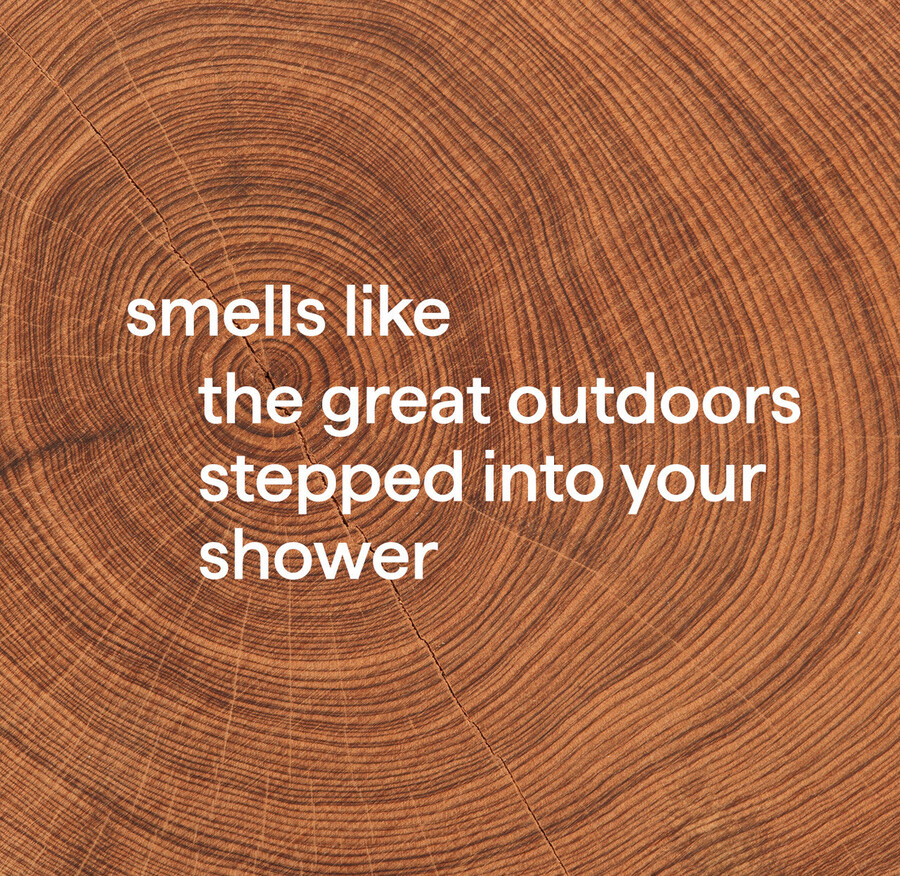 2-in-1 shampoo spülung