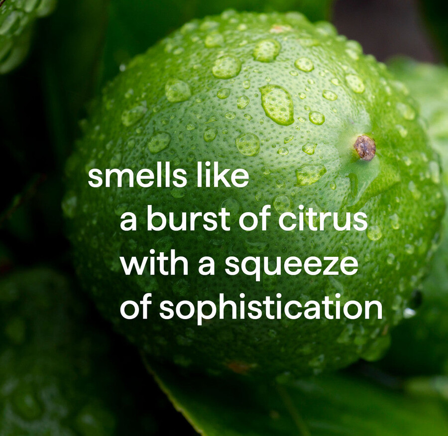 2-in-1 shampoo spülung