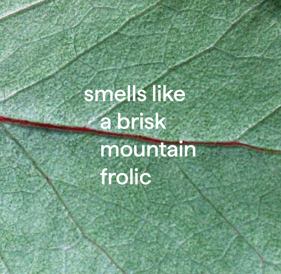 badezimmerreinigungs-trio