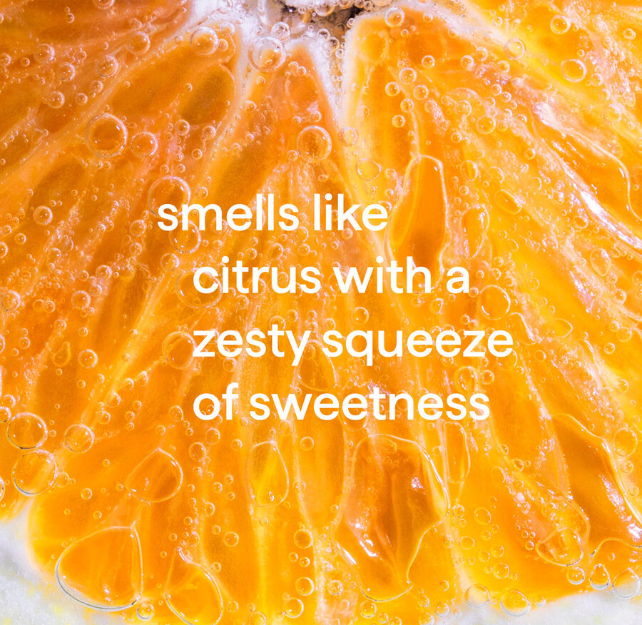 nachfüllpackung für spülmittel